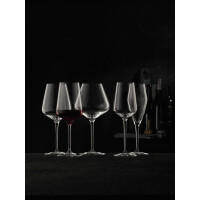 Nachtmann Vinova Sekt Champagner Glas 4er Set