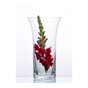 Bohemia for your home Vase 25,5 cm