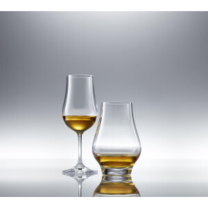 Schott Zwiesel Bar Spezial Whisky Nosing Glas 2er Set